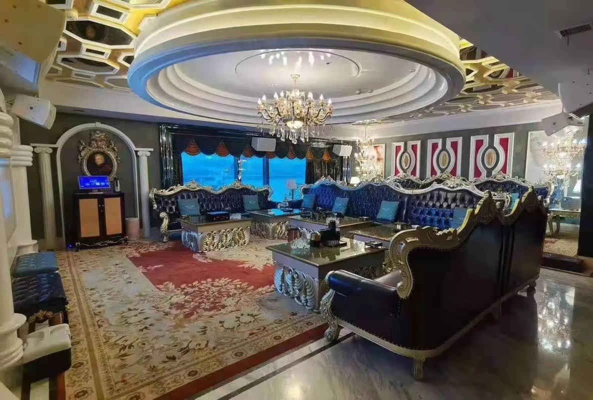 洛阳商务ktv，精彩商务派对怎么玩-汝阳县ktv预订